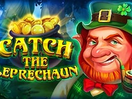 Catch The Leprechaun screenshot